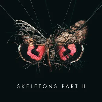 Skeletons: Part 2 by MISSIO