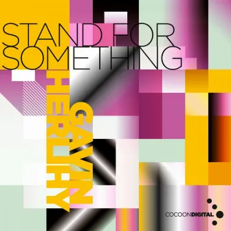 Stand For Something by Gavin Herlihy