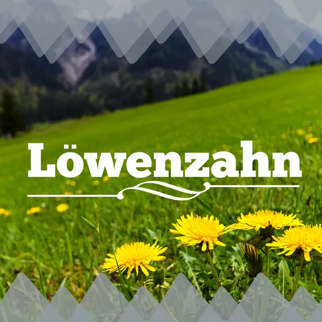 Löwenzahn