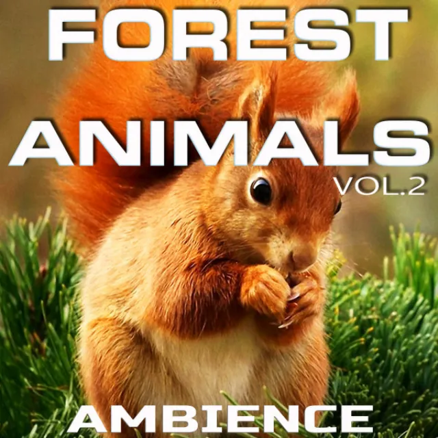 Forest Animals Ambience, Vol.2