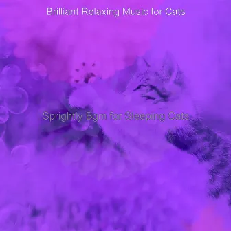 Sprightly Bgm for Sleeping Cats by Brilliant Relaxing Music for Cats