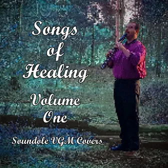 Songs of Healing, Vol. One by Soundole VGM Covers