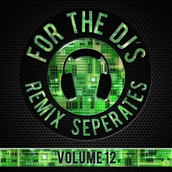 For The DJs, Vol. 12 by DJ Dizzy