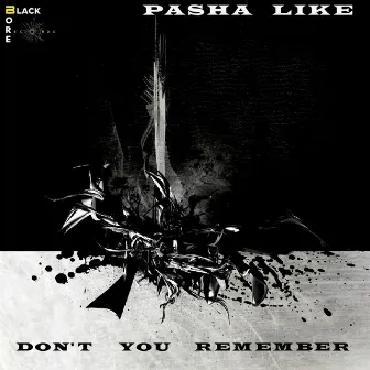 Don't You Remember by Pasha Like