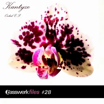 Basswerk Files #028 Orchid EP by Kantyze