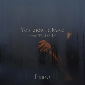 You Knew I'de Leave (Piano) by Elie Abou Nasr