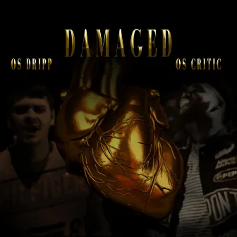 Damaged by OS Dripp