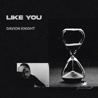 Like You by Davion Knight