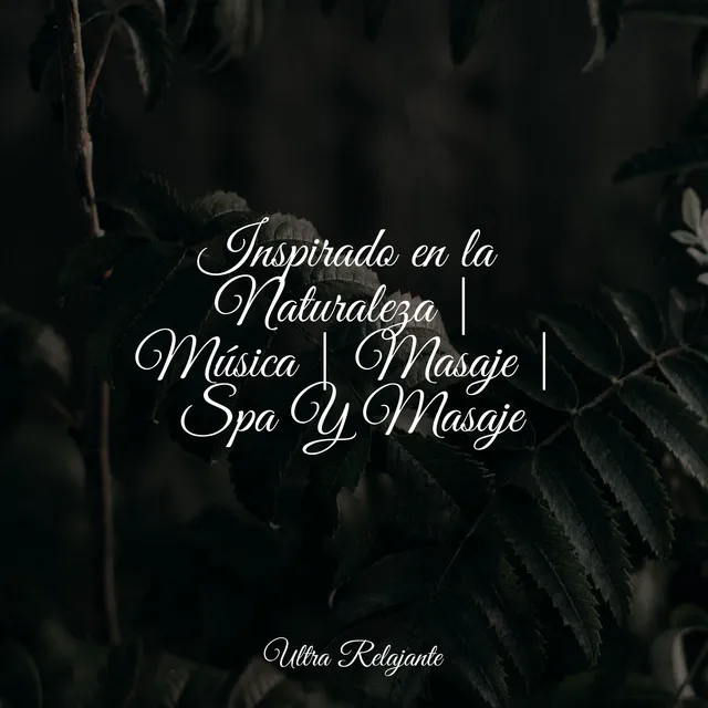 Inspirado en la Naturaleza | Música | Masaje | Spa Y Masaje