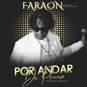 Por Andar de Perro (Version Banda) by Faraon