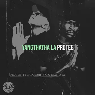 Yangthatha La by Protee