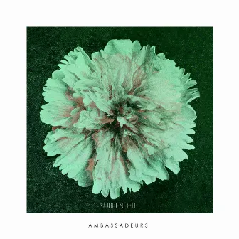 Surrender by Ambassadeurs