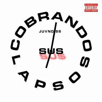 Cobrando Sus Lapsos by Juvn Diss