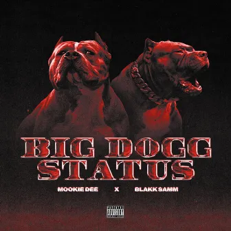 Big Dogg Satus by Mookie Dee