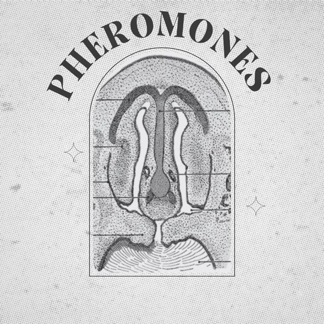 PHEROMONES