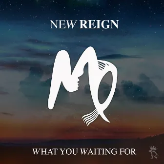 What You Waiting For (Charlie Lane Remix) by New Reign