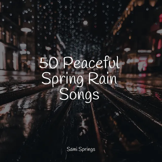 50 Peaceful Spring Rain Songs