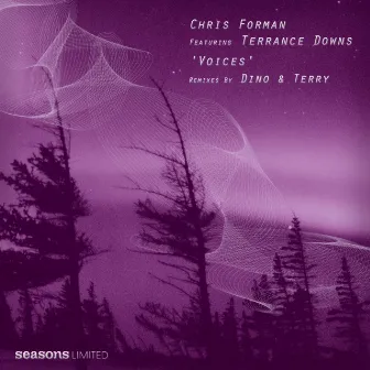 Voices (feat. Terrance Downs) by Chris Forman