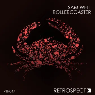 Rollercoaster by Sam Welt