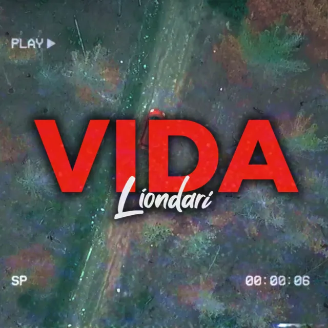 Vida