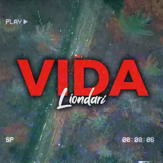 Vida by Liondari