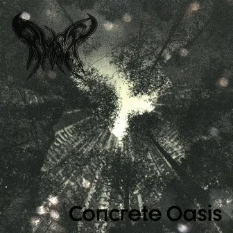 Concrete Oasis by RMSX