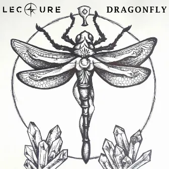 Dragonfly by Lecture