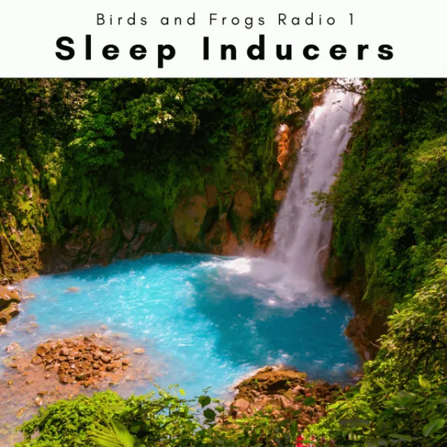 Islands of Nature Noises for Sleep pt. 4