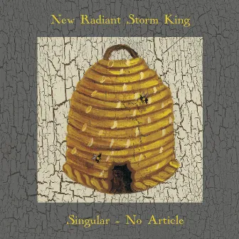 Singular, No Article by New Radiant Storm King