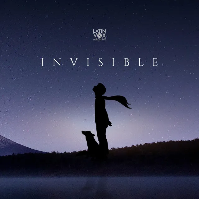 Invisible