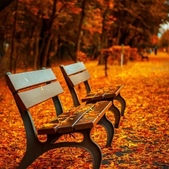 Autumn in Paris by Jan Baars