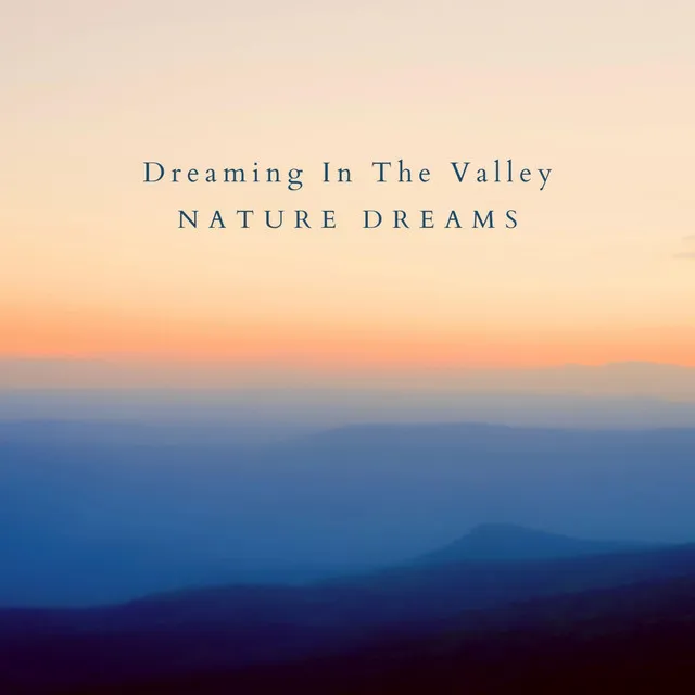 Dreaming In The Valley