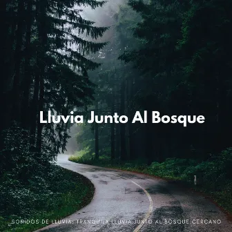 Sonidos De Lluvia: Tranquila Lluvia Junto Al Bosque Cercano by Frutas de lluvia