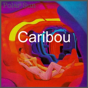 Caribou by Polar Sun