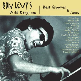 Best Grooves & Jams by Ron Levy