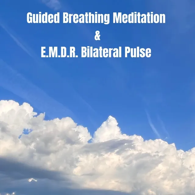 Guided Breathing Meditation and E.M.D.R. Bilateral Pulse (Headphone Version)