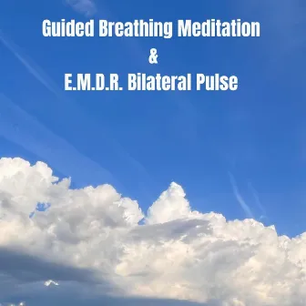 Guided Breathing Meditation and E.M.D.R. Bilateral Pulse (Headphone Version) by Emotional Healing