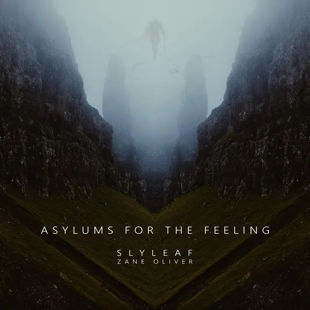 Asylums for the Feeling