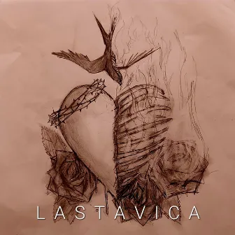 Lastavica by Dragonmelon