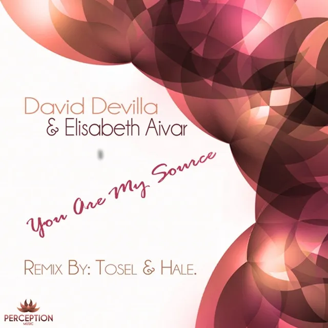 You Are My Source - Tosel and Hale Mix