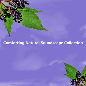 Comforting Natural Soundscape Collection by elderflowers