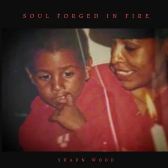 Soul Forged In Fire by Shaun Wood