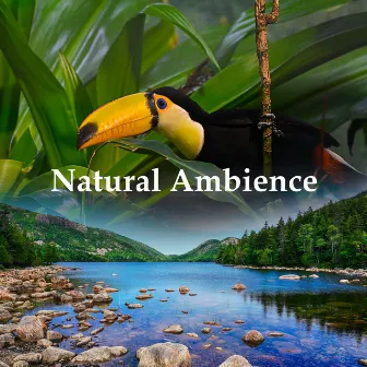 Natural Ambience by Naturally Recurring