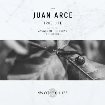 True Life by Juan Arce