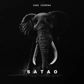 Satao (Benefit Version) by Gabe Carmona