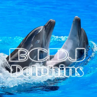 Dolphins by BCDJ