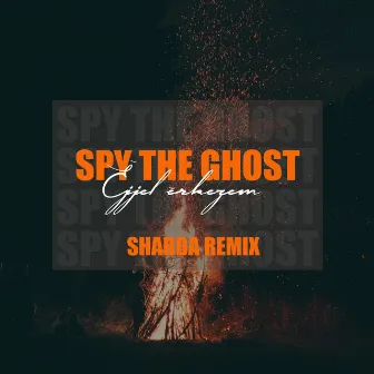 Éjjel érkezem (Shabba Remix) by Spy the Ghost