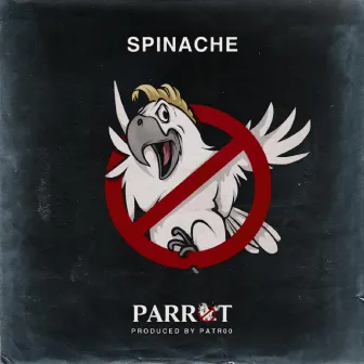 Parrot by Spinache