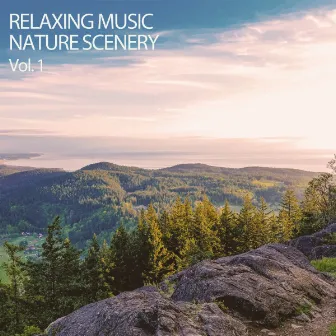 Work Music: Relaxing Nature Meditation Vol. 1 by The Studying Music Network