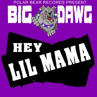 Hey Lil Mama by Big Dawg